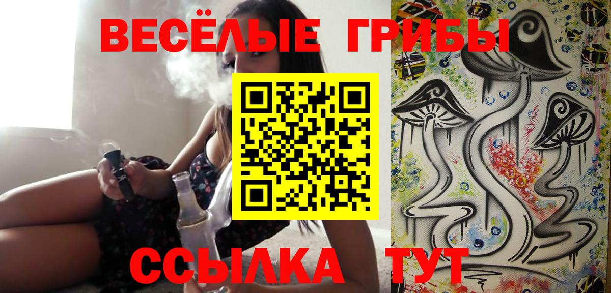 Галлюциногенные грибы GOLDEN TEACHER Спасск-Дальний